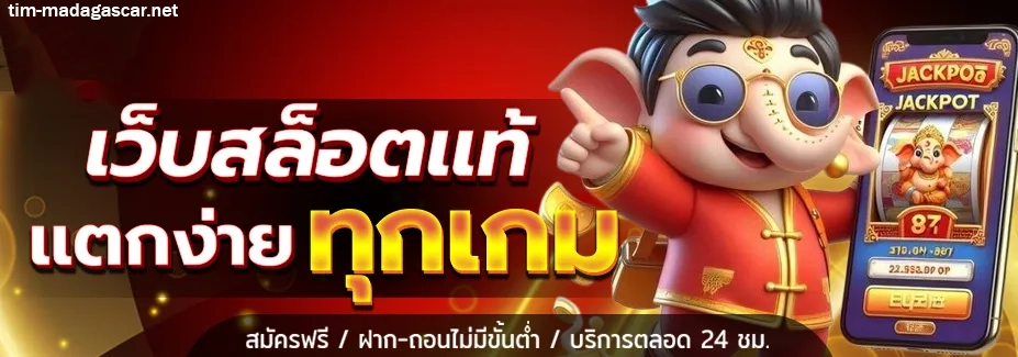 เว็บแทงบอล